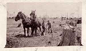Plowing-1915