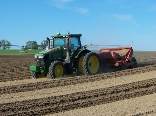 Potato-Planting (1)