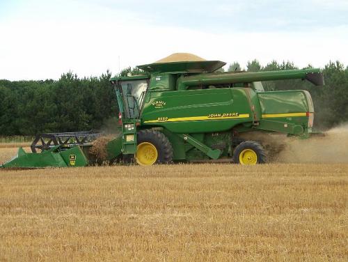 Wheat Harvest